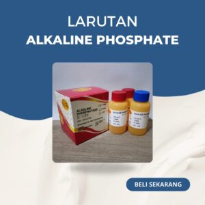 Reagen Alkaline Phosphatase Glory