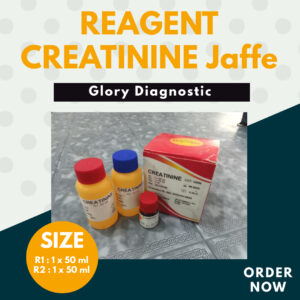 Reagen CREATININE Glory