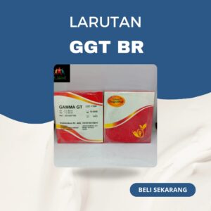 Reagen GGT BR Glory