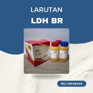 Reagen LDH BR Glory