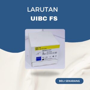 UIBC FS