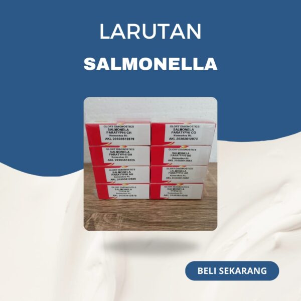 Salmonella Paratyphi CH 5 ml