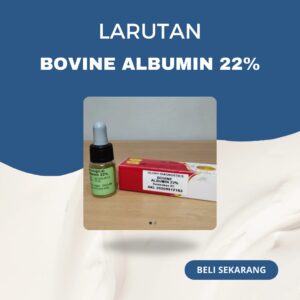 Bovine Albumin 22% 10 ml