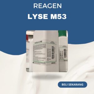 LH Lyse M53