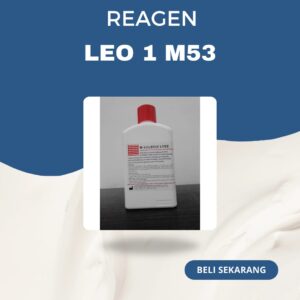 Leo 1 M53