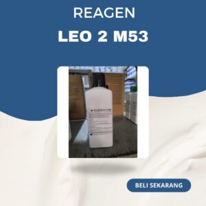 Leo 2 M53