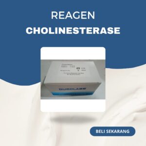 Cholinerterase Dumolabs